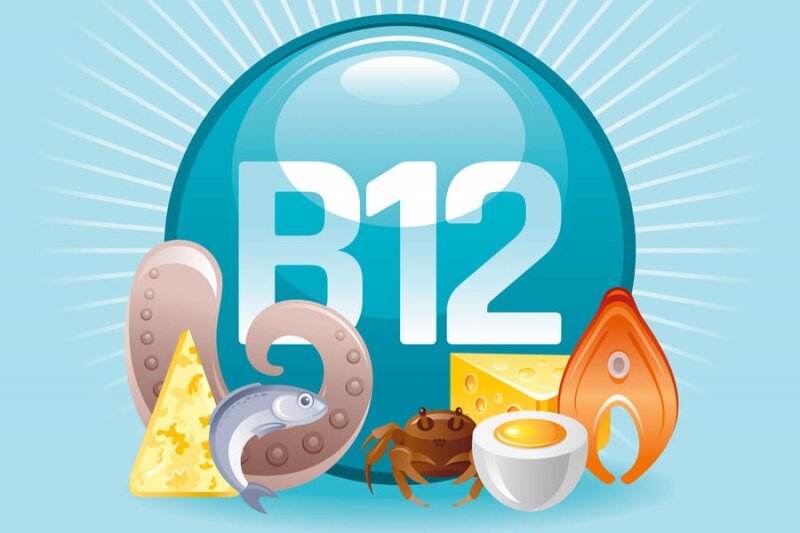  Недостатки и вред вегетарианства 