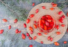 Врачи напомнили о пользе шиповника