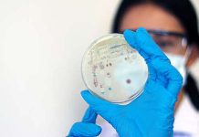 Найдено оружие против устойчивых к антибиотикам инфекций