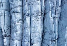 Котов: средняя температура мерзлоты в Красноярском крае может вырасти на 1°C