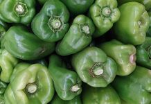 Диетолог назвала лучший овощ для беременных