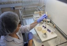 Волгоградцев предупредили о рисках распространения лихорадки чикунгунья в России