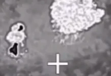 Сводка СВО, утро 4 февраля. Конец «американца»! В Одессе угробили вояк НАТО