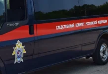 Тела нашли в овраге: погибли двое детей экс-солистки группы «Воровайки»