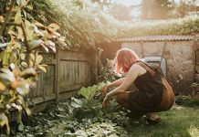 Секрет китайских соседей: чем посыпают сад по снегу в конце зимы