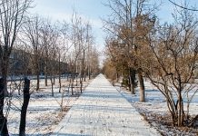 Вечером 8 марта на Волгоградскую область обрушится 5-балльная магнитная буря