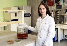 До свадьбы заживет: омские ученые разработали заменитель кожи