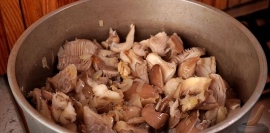 Фото приготовления рецепта: Вешенки в томатном соусе - шаг №6