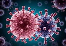 ВИЧ больше не страшен? Ученые нашли два белка, которые блокируют вирус изнутри