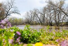 Волгоградцам объяснили, как отличить аллергию от простуды