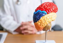 Назван неожиданный показатель хорошей памяти у женщин