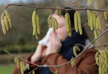 Эксперт Тыринова рассказала, что поможет аллергикам в период цветения