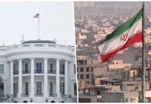 Бунт генералов США: стала известна причина массовых увольнений в Пентагоне