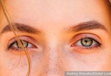 Ученые: Человеческие глаза произошли от древнего ленивого одноглазого червя