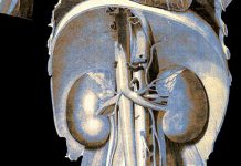 Ученые назвали неочевидный маркер снижения функции почек