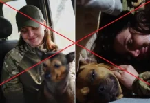 Доснималась пропаганды. Нацисты «Эдельвейса» убили «куколку Зеленского»